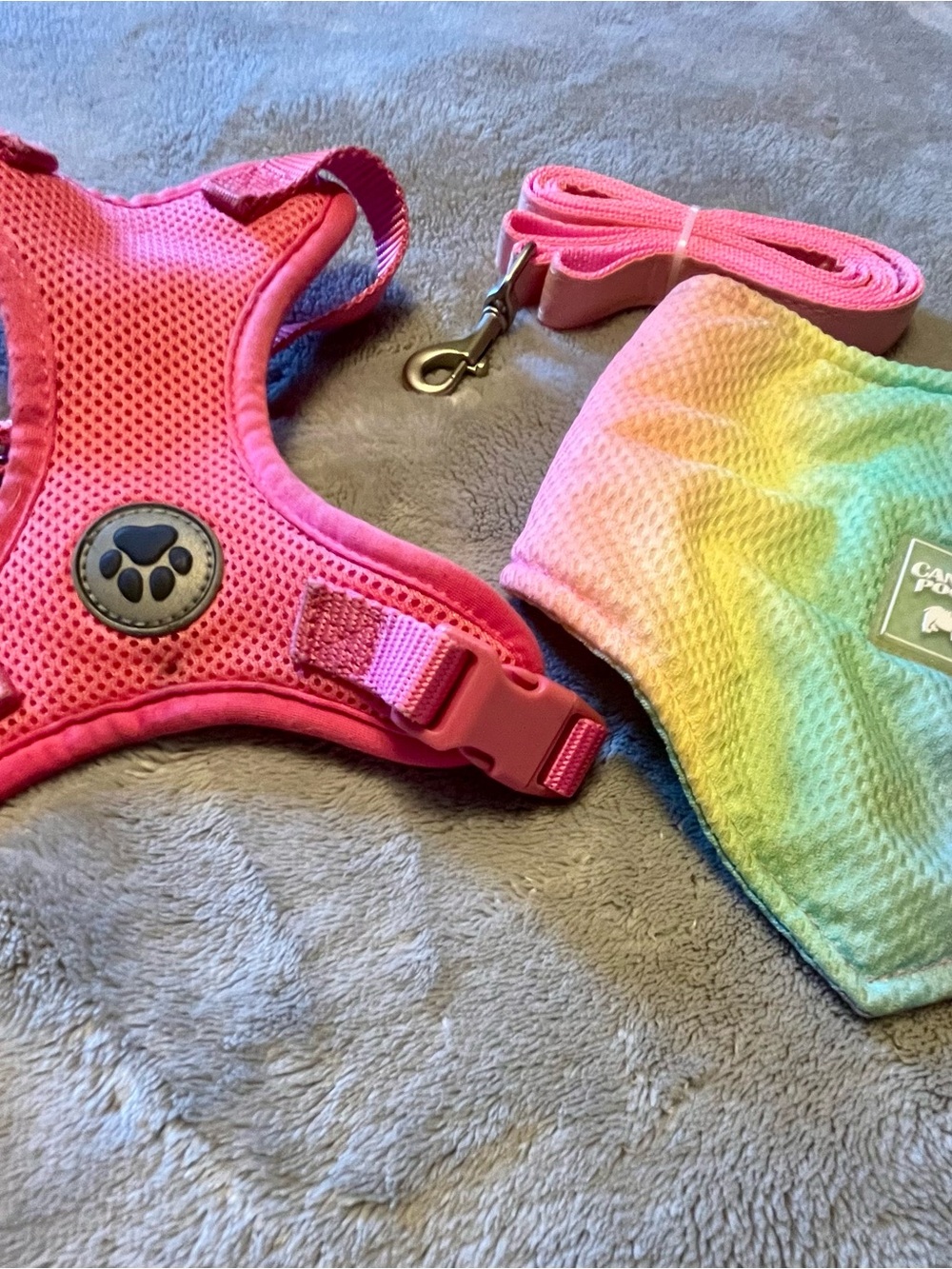Pink Mesh Dog Harness with Rainbow Bandana and Matching Leash